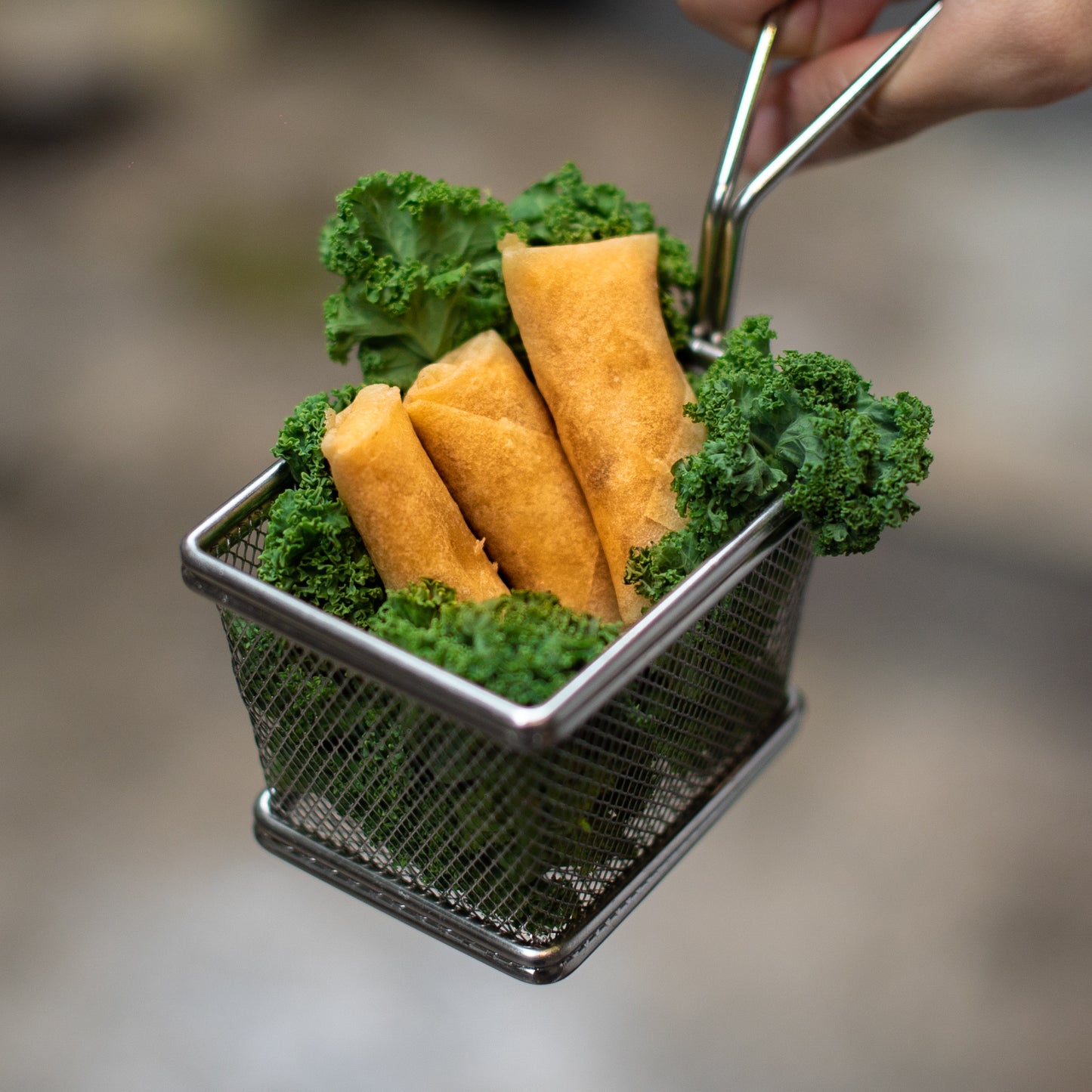炸春卷 Crispy Golden Spring Rolls 🌱